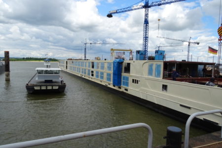 SS Joie de Vivre SS Joie de Vivre
